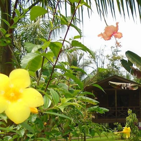 J And H Garden Cabinas Bocas Town Kültér fotó