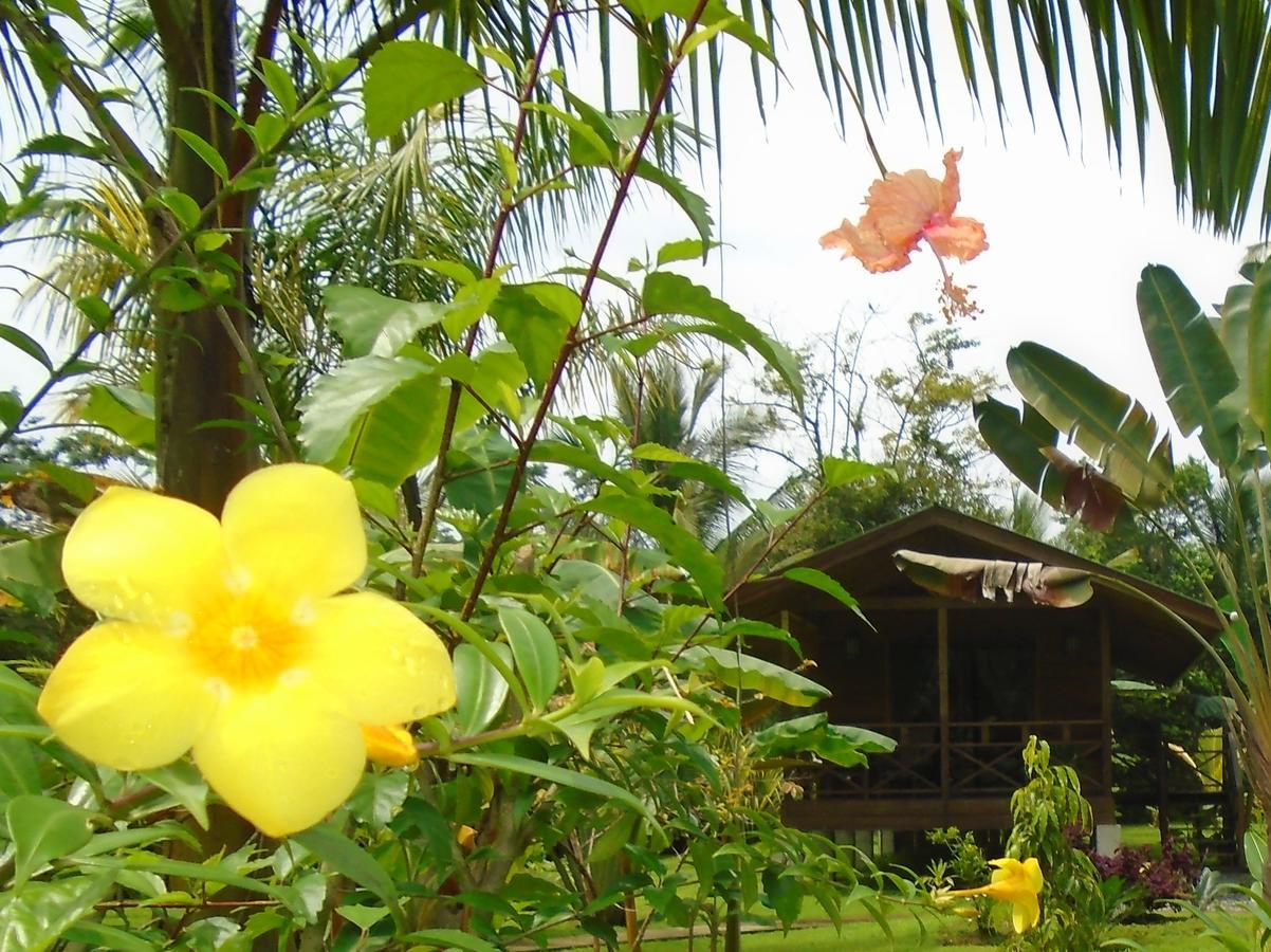 J And H Garden Cabinas Bocas Town Kültér fotó